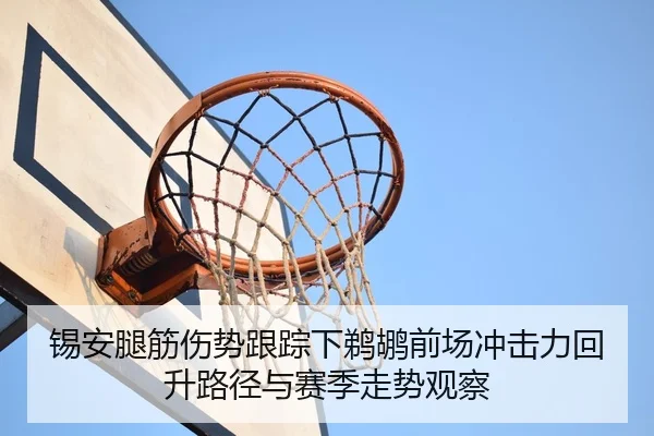 锡安腿筋伤势跟踪下鹈鹕前场冲击力回升路径与赛季走势观察（aoko）