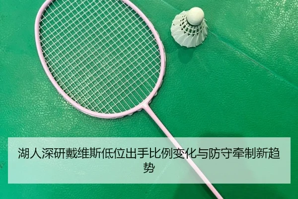 湖人深研戴维斯低位出手比例变化与防守牵制新趋势（aoko）